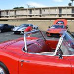 DSC_0010_00009 (August 19, 2023)